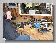 Benchrest_BR50_0021.jpg