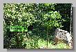 086_Benchrest-Coesfeld-2012.jpg