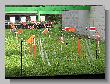 24_Benchrest-BR50-Elkenroth_2013.JPG