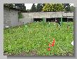 46_Benchrest-BR50-Elkenroth_2013.JPG