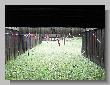 014_BR50_Benchrest_BR22_Pfalz.jpg