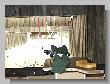 037_BR50_Benchrest_BR22_Pfalz.jpg
