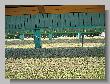 160_Benchrest_Mailand_2007.jpg