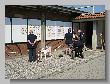 233_Benchrest_Mailand_2007.jpg