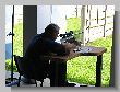 539_Benchrest.jpg