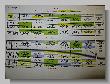 088_Xanten_Cup_2014.JPG